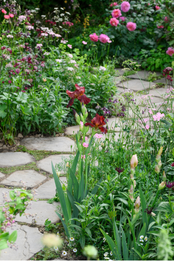 Jo Thompson Glasshouse garden (c) Jason Ingram