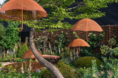 Katy Terry garden  1 copyright Julie Skelton