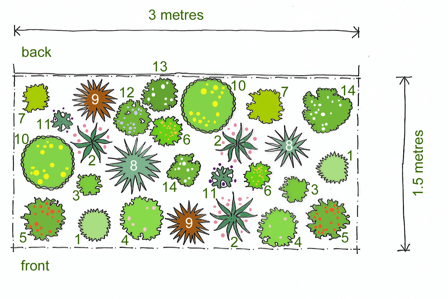 Planting Plan For A Sunny Border - all about hobby