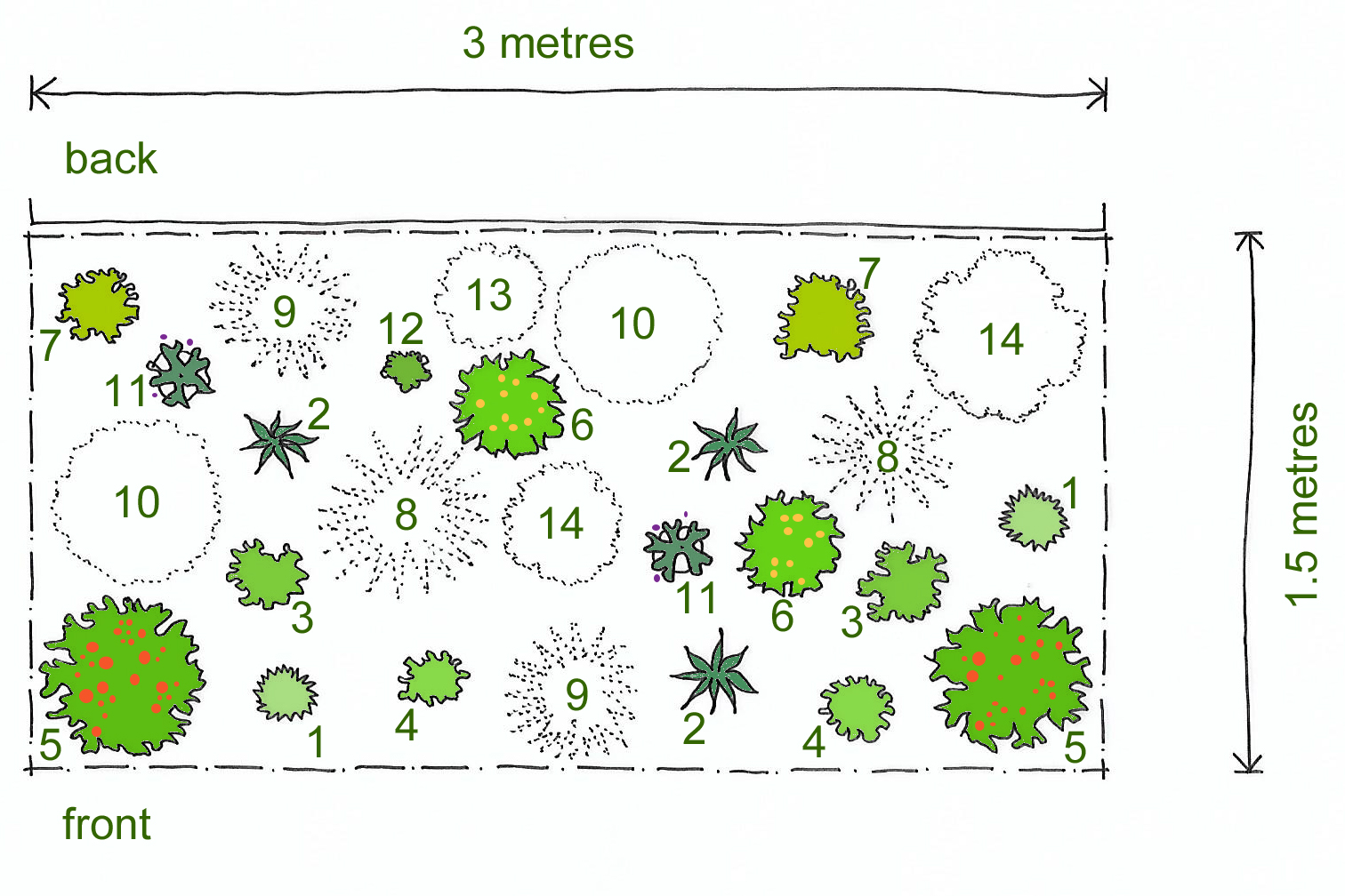 Planting Plan For Dry Sunny Border - all about hobby