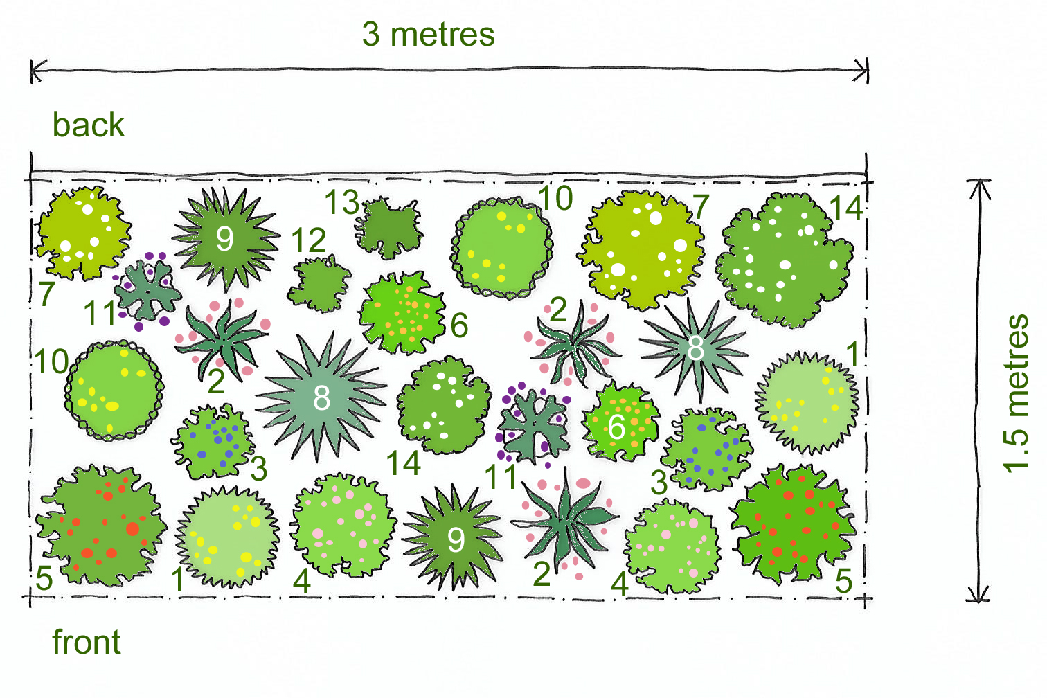 Растения на плане сверху. Схемы озеленения белыми цветами. Plants Planner. Plan plant