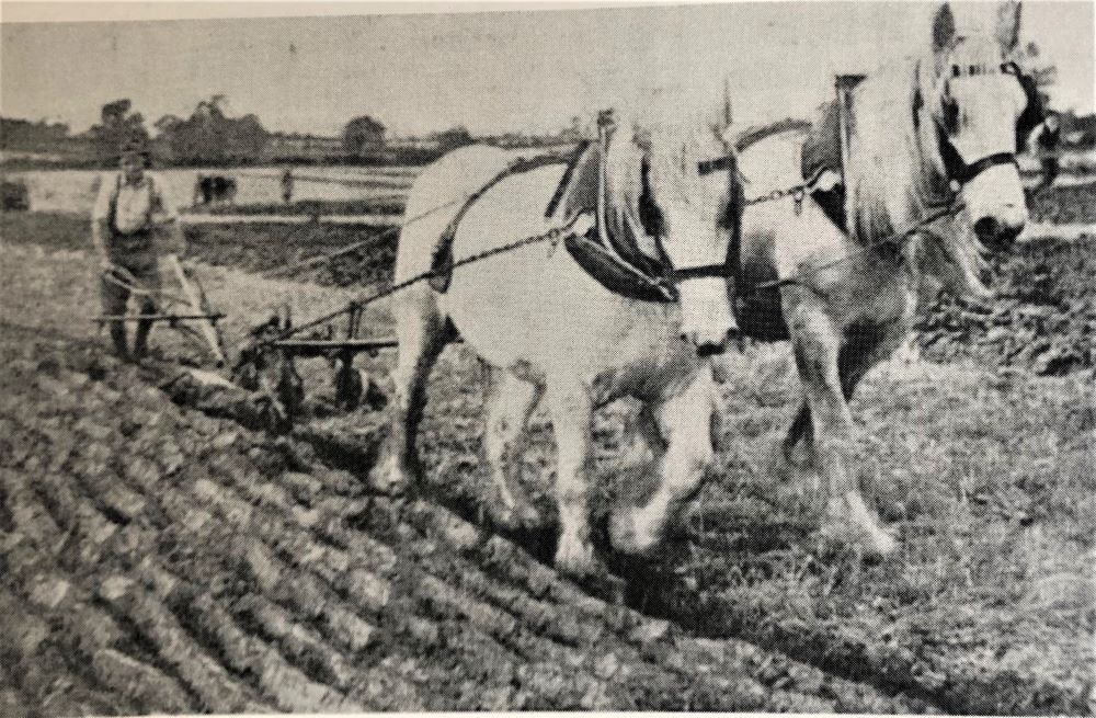 Arthur ploughing