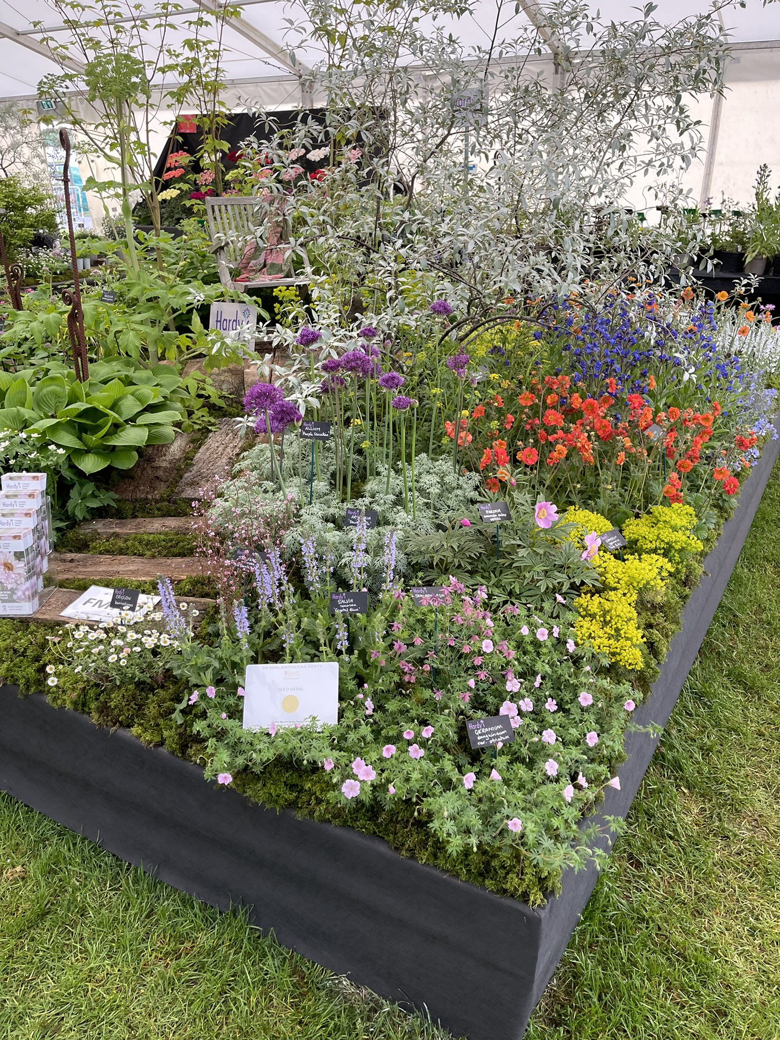 Hardy's display at RHS Malvern Spring Festival 2022