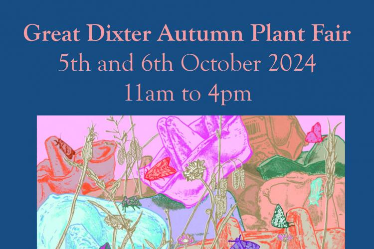 Great Dixter Autumn Plant Fair 2024