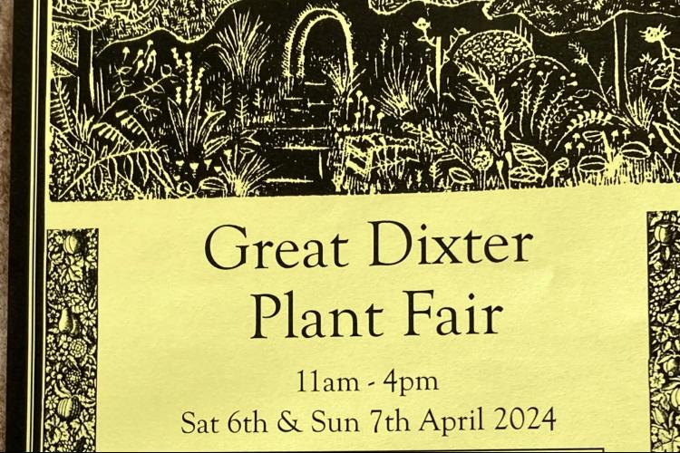 Great Dixter Spring Fair 