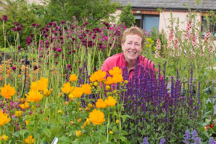 Rosy Hardy Perennials RHS Talk