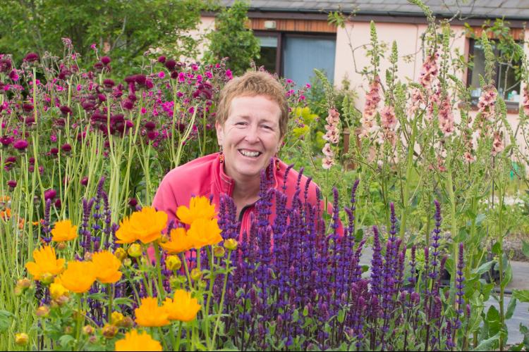 RHS Partnership talk - Spring Flowering Perennials with Rosy Hardy 