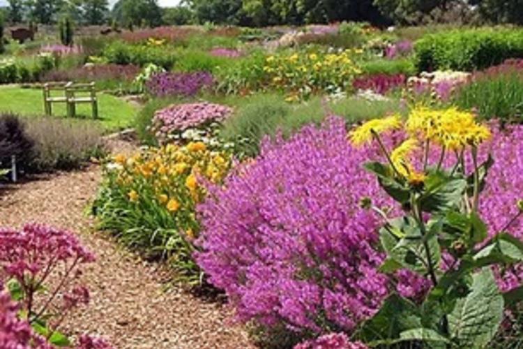 Plant Fairs Roadshow: Sussex Prairie Garden: Sunday 4 June 2023