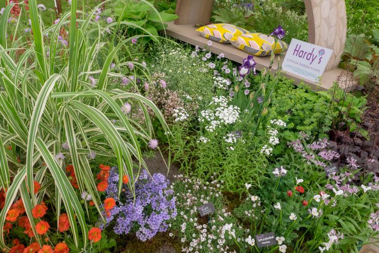 Hardys Cottage Garden Plants