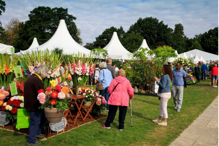 Wisley Autumn Flower Show 2025