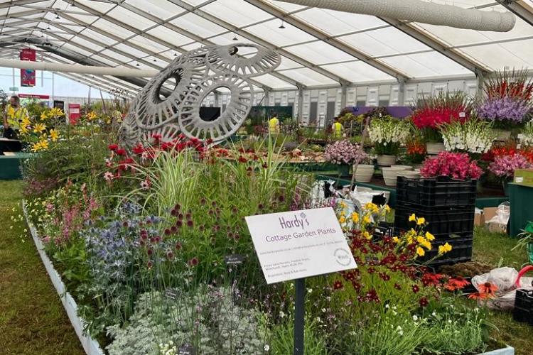 Celebrating 30 years at RHS Hampton Court 