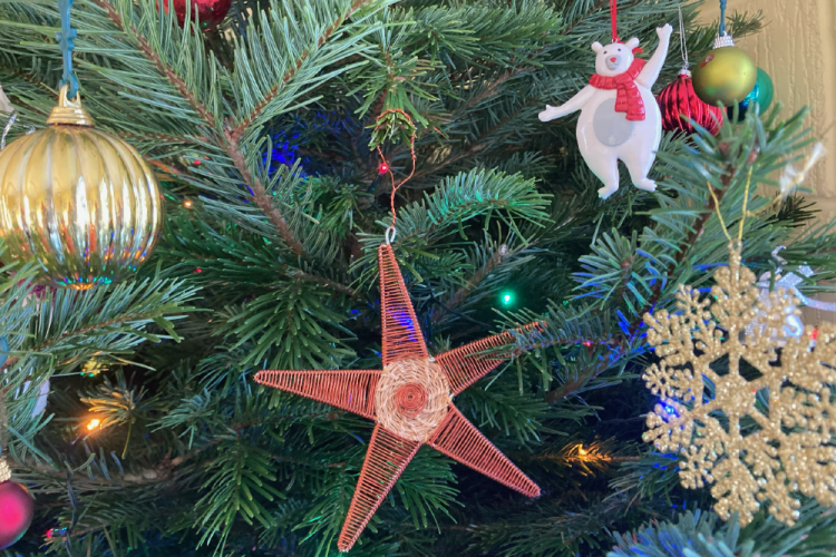 Christmas Gifts for Gardeners 2025