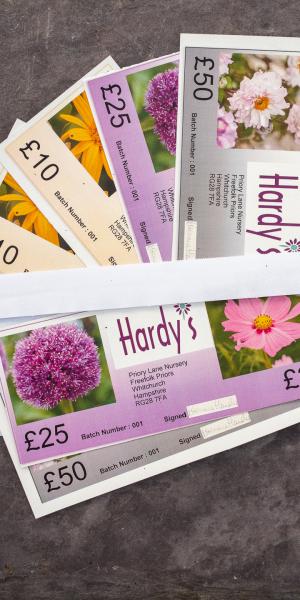 The complete range of Hardy's Gift Vouchers 