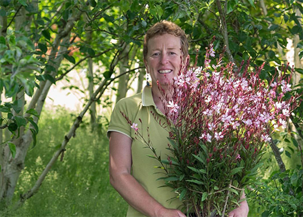 Rosy Hardy holding Guara Rosy Shimmers