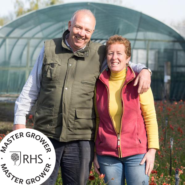 Welcome to Hardys Cottage Garden Plants